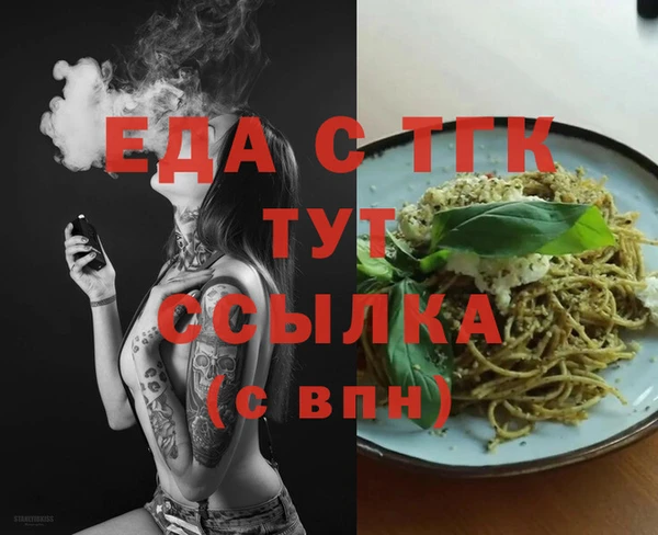 индика Елизово