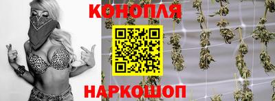 сатива Краснознаменск