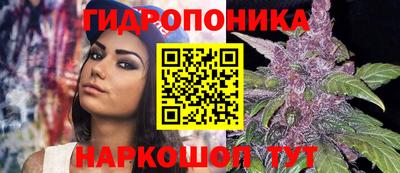 сатива Краснознаменск