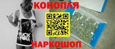 сатива Краснознаменск