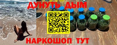 сатива Краснознаменск
