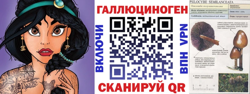 Псилоцибиновые грибы Psilocybe  Касимов 
