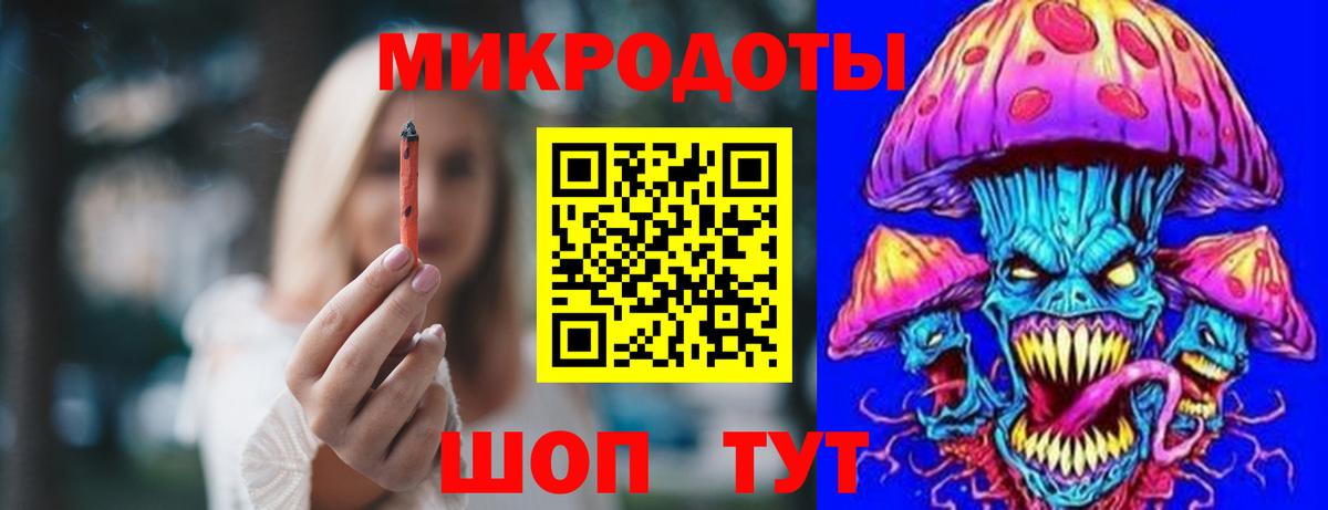 Галлюциногенные грибы Psilocybe Касимов